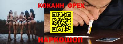 spice Камышлов