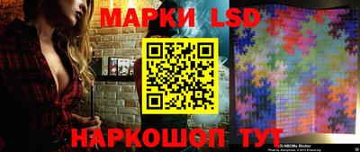 spice Камышлов