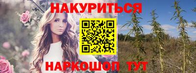 spice Камышлов