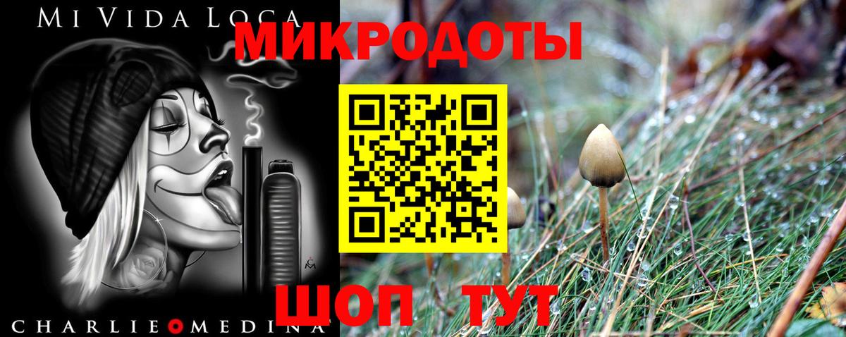Псилоцибиновые грибы GOLDEN TEACHER Амурск